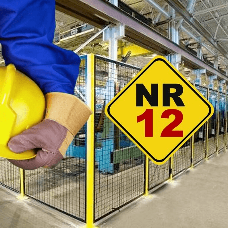 NR 12